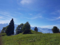 morepic-3